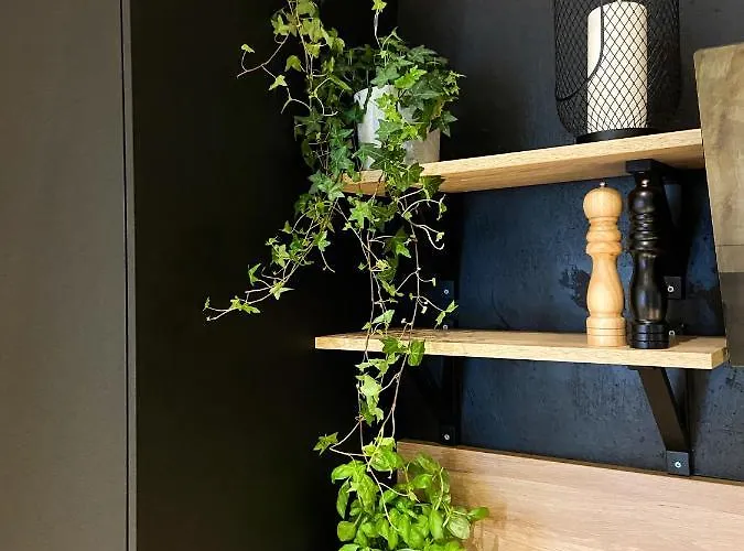 19 אכסניה סופוט