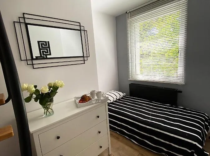 19 אכסניה סופוט